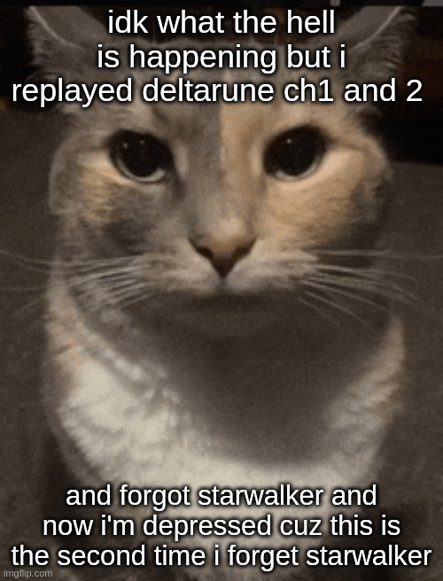 what the hell happened while i was asleep | idk what the hell is happening but i replayed deltarune ch1 and 2; and forgot starwalker and now i'm depressed cuz this is the second time i forget starwalker | made w/ Imgflip meme maker