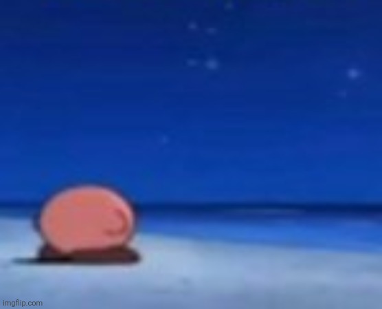 Stupid fuck | image tagged in stupid fuck | made w/ Imgflip meme maker