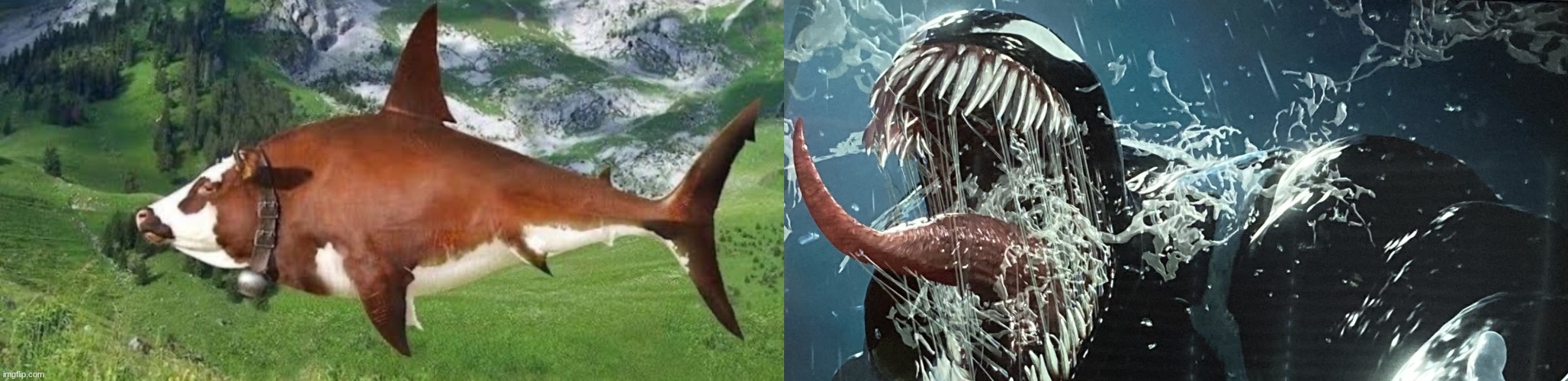 image tagged in cow fish,venom screaming | made w/ Imgflip meme maker