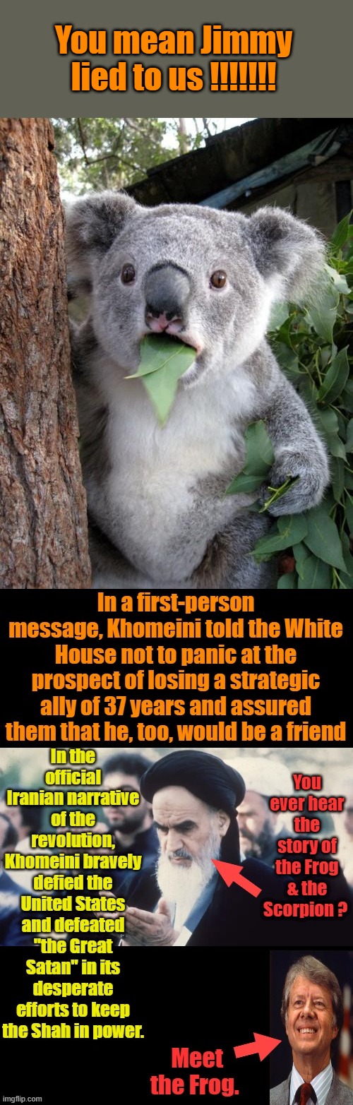 You mean Jimmy lied to us !!!!!!! | image tagged in memes,surprised koala | made w/ Imgflip meme maker