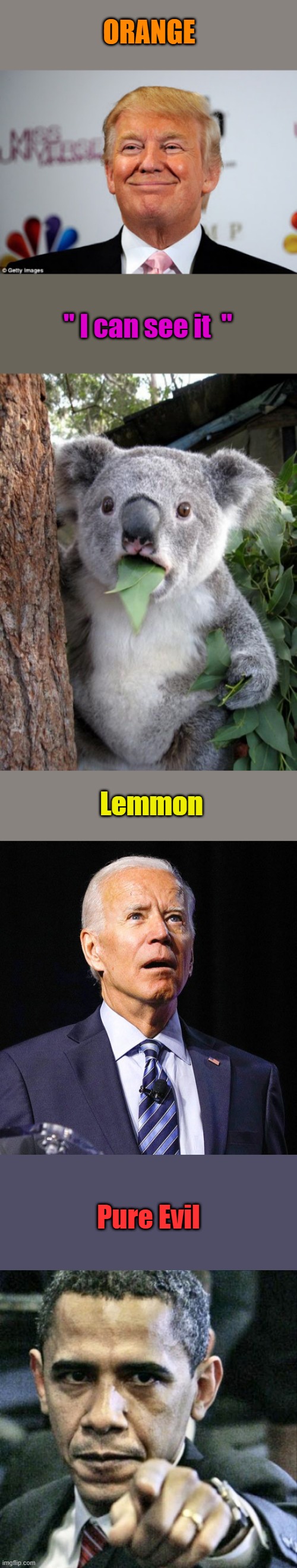 Trump needs a super majority to save the US.The Marxist left need to be crushed once & for all. | ORANGE; " I can see it  "; Lemmon; Pure Evil | image tagged in donald trump approves,memes,surprised koala,joe biden,pissed off obama | made w/ Imgflip meme maker