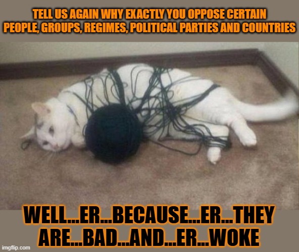 This #lolcat takes great pleasure in asking stupid people why they dislike others | TELL US AGAIN WHY EXACTLY YOU OPPOSE CERTAIN PEOPLE, GROUPS, REGIMES, POLITICAL PARTIES AND COUNTRIES; WELL...ER...BECAUSE...ER...THEY ARE...BAD...AND...ER...WOKE | image tagged in stupid people,lolcat,sheeple | made w/ Imgflip meme maker