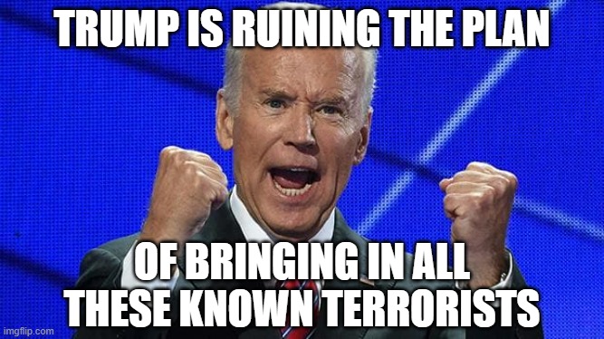 Joe Biden fists angry | TRUMP IS RUINING THE PLAN OF BRINGING IN ALL THESE KNOWN TERRORISTS | image tagged in joe biden fists angry | made w/ Imgflip meme maker