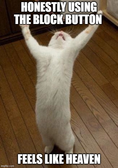 . | HONESTLY USING THE BLOCK BUTTON; FEELS LIKE HEAVEN | image tagged in hooray cat | made w/ Imgflip meme maker