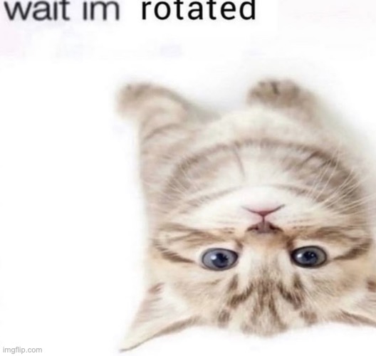 Imagine if the first post in a stream made for Rylie isn't by Rylie | made w/ Imgflip meme maker