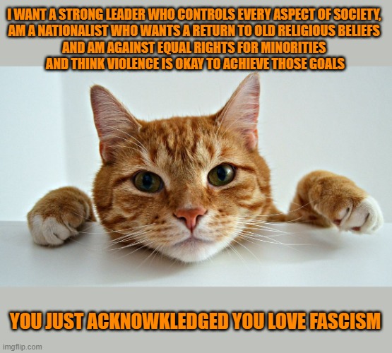 This #lolcat wonders why many hoo-mens don't know what fascism is | I WANT A STRONG LEADER WHO CONTROLS EVERY ASPECT OF SOCIETY, 
AM A NATIONALIST WHO WANTS A RETURN TO OLD RELIGIOUS BELIEFS 
AND AM AGAINST EQUAL RIGHTS FOR MINORITIES 
AND THINK VIOLENCE IS OKAY TO ACHIEVE THOSE GOALS; YOU JUST ACKNOWKLEDGED YOU LOVE FASCISM | image tagged in fascism,stupid people,lolcat | made w/ Imgflip meme maker