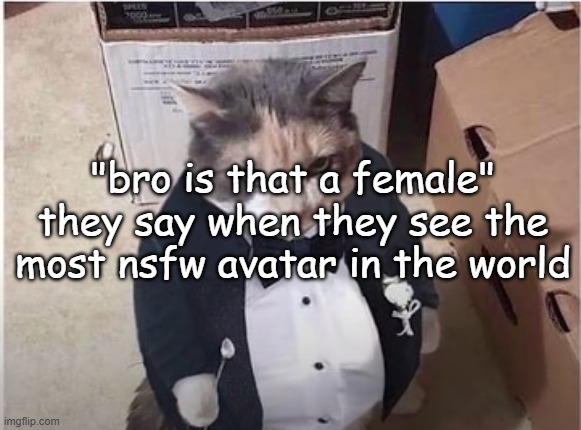 Fancy Cat | "bro is that a female" they say when they see the most nsfw avatar in the world | image tagged in fancy cat | made w/ Imgflip meme maker