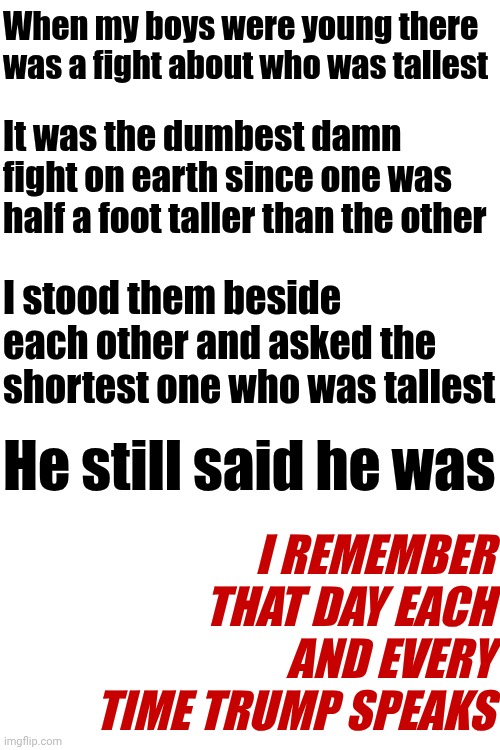 When You're Wrong, AND YOU KNOW IT, But Still Refuse To Admit It | When my boys were young there was a fight about who was tallest; It was the dumbest damn fight on earth since one was half a foot taller than the other; I stood them beside each other and asked the shortest one who was tallest; I REMEMBER THAT DAY EACH AND EVERY TIME TRUMP SPEAKS; He still said he was | image tagged in memes,maga,you're doing it wrong,you're not just wrong your stupid,trump is a convicted rapist,trump is a liar | made w/ Imgflip meme maker