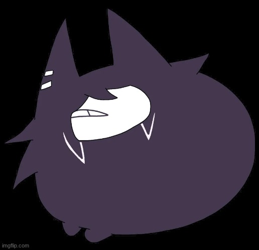 miss circle | image tagged in miss circle | made w/ Imgflip meme maker