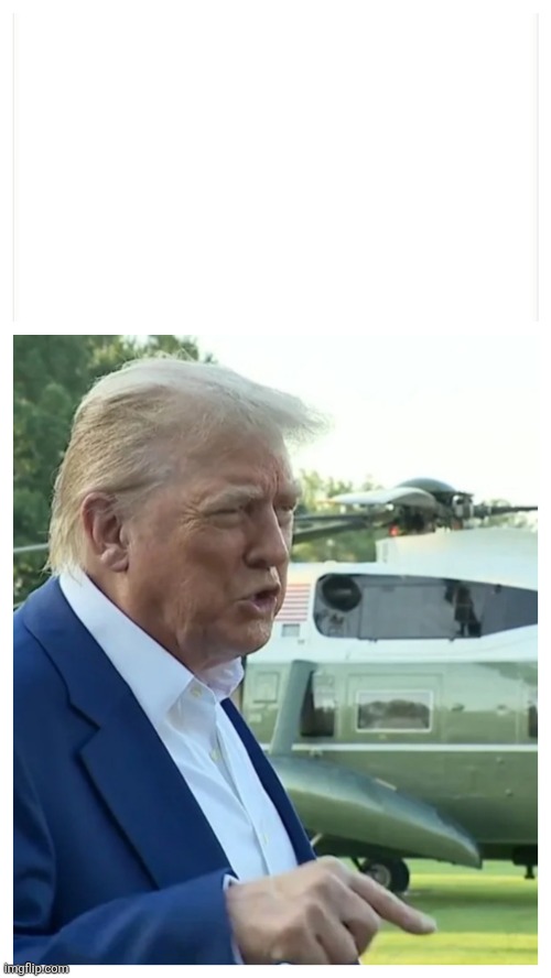 Trump They don't know wtf they're doing | image tagged in bad pun trump | made w/ Imgflip meme maker