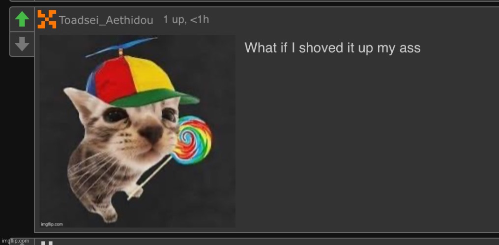 HUH | image tagged in what if i shoved it up my ass | made w/ Imgflip meme maker