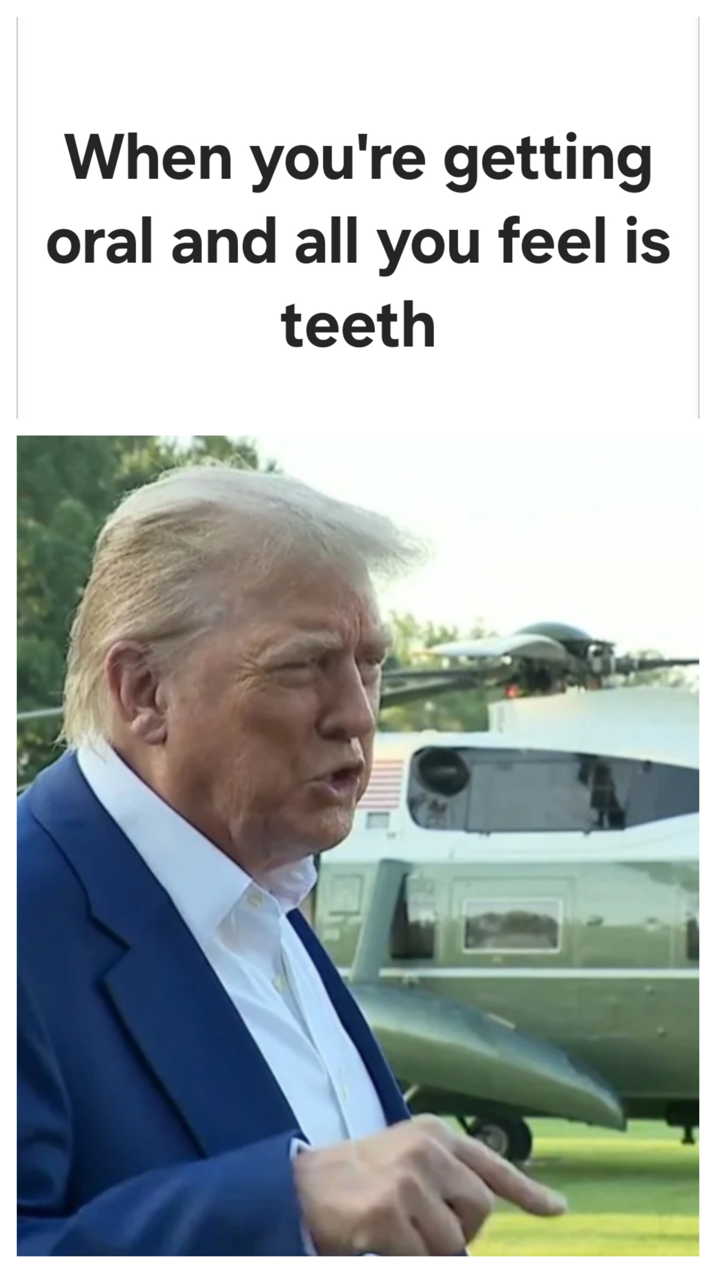 Trump They don't know wtf they're doing Blank Meme Template