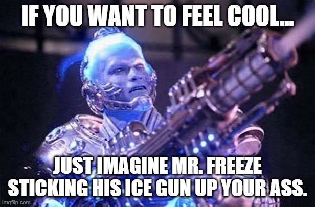 Anything to feel cool | IF YOU WANT TO FEEL COOL... JUST IMAGINE MR. FREEZE STICKING HIS ICE GUN UP YOUR ASS. | image tagged in mr freeze pun | made w/ Imgflip meme maker