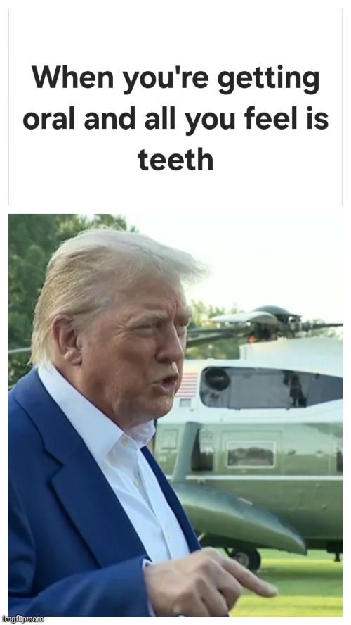 Trump They don't know wtf they're doing | image tagged in trump they don't know wtf they're doing | made w/ Imgflip meme maker