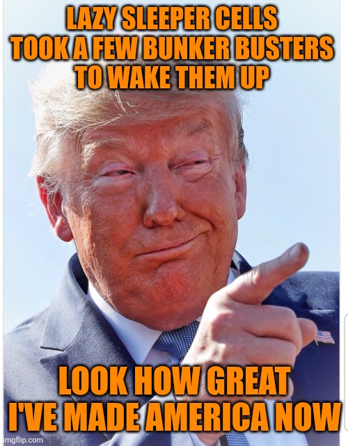 Trump pointing | LAZY SLEEPER CELLS 
TOOK A FEW BUNKER BUSTERS 
TO WAKE THEM UP LOOK HOW GREAT 
I'VE MADE AMERICA NOW | image tagged in trump pointing | made w/ Imgflip meme maker
