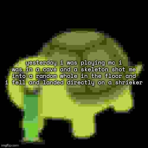 Low Quality Barfing Turtle | yesterday i was playing mc i was in a cave and a skeleton shot me into a random whole in the floor and i fell and landed directly on a shrieker | image tagged in low quality barfing turtle | made w/ Imgflip meme maker