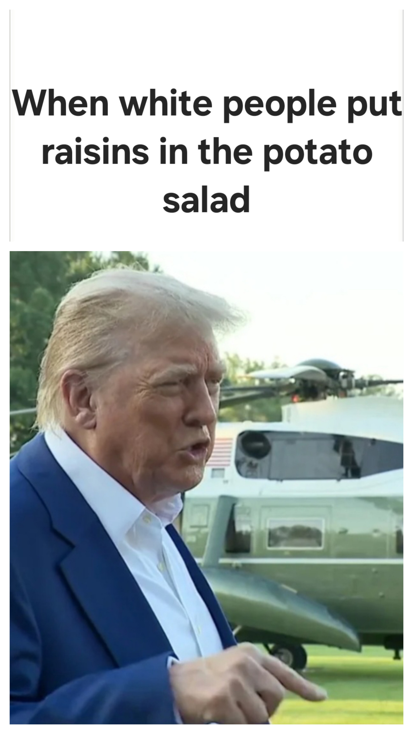 Trump They don't know wtf they're doing Blank Meme Template