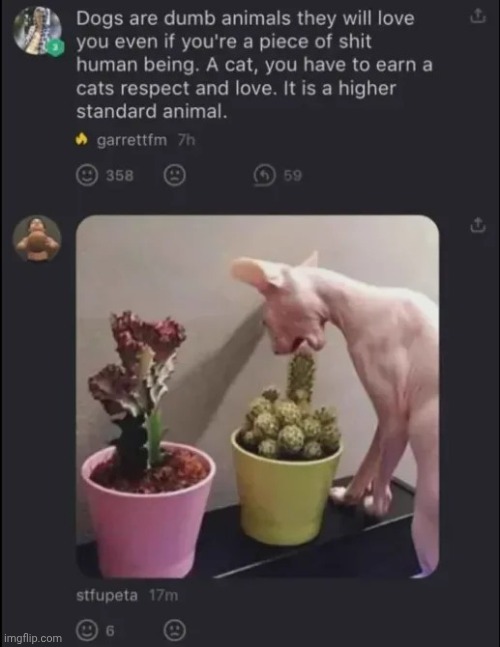 image tagged in memes,msmg,shitpost | made w/ Imgflip meme maker