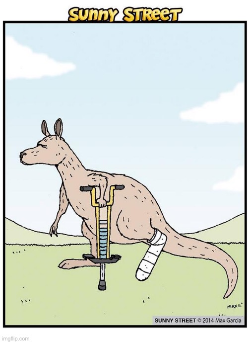 That pogo stick finally went to good use… | image tagged in comics,sunny street,kangaroo,pogo stick as a crutch | made w/ Imgflip meme maker