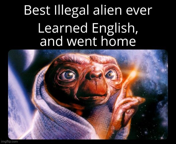 Illegal Alien | image tagged in illegal alien,political meme,aliens,funny meme,meme | made w/ Imgflip meme maker