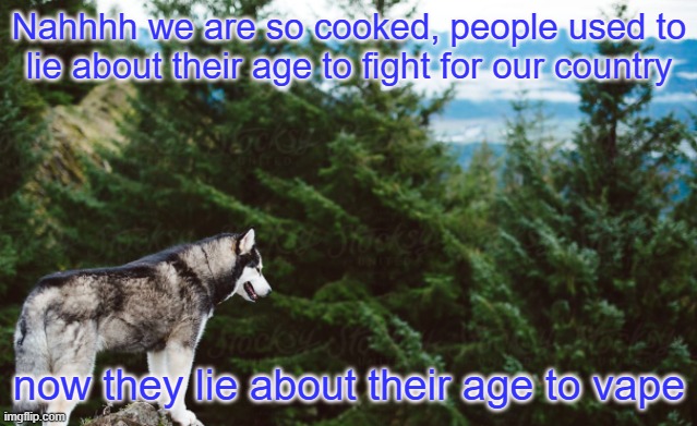 We are done | Nahhhh we are so cooked, people used to lie about their age to fight for our country; now they lie about their age to vape | image tagged in husky | made w/ Imgflip meme maker