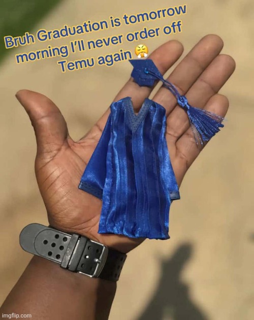 image tagged in temu | made w/ Imgflip meme maker