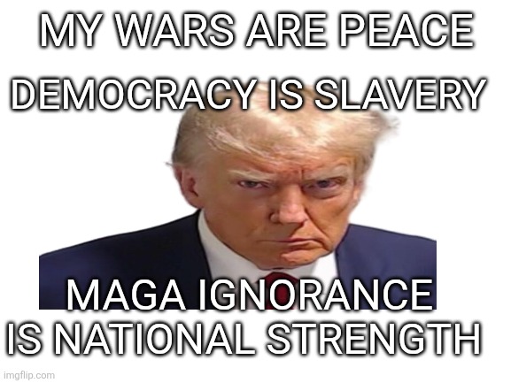 Many posts concerning TDS. But everyone knows, TDS doesn't actually exist! | MY WARS ARE PEACE; DEMOCRACY IS SLAVERY; MAGA IGNORANCE IS NATIONAL STRENGTH | image tagged in donald trump,maga,1984,iran,misinformation,fantasy | made w/ Imgflip meme maker