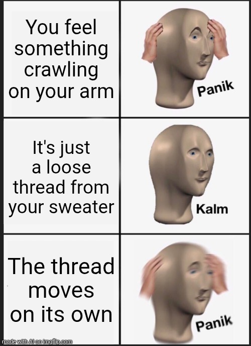 MADE BY AI | You feel something crawling on your arm; It's just a loose thread from your sweater; The thread moves on its own | image tagged in memes,panik kalm panik | made w/ Imgflip meme maker