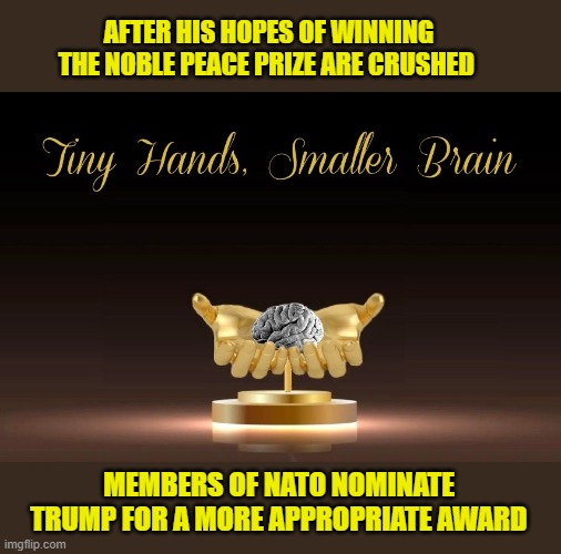 There has never been a person more deserving than Donald -TINY HANDS, SMALLER BRAIN AWARD | AFTER HIS HOPES OF WINNING THE NOBLE PEACE PRIZE ARE CRUSHED; MEMBERS OF NATO NOMINATE TRUMP FOR A MORE APPROPRIATE AWARD | image tagged in impeach trump,donald trump memes,government corruption,trump is a moron,donald trump the clown | made w/ Imgflip meme maker