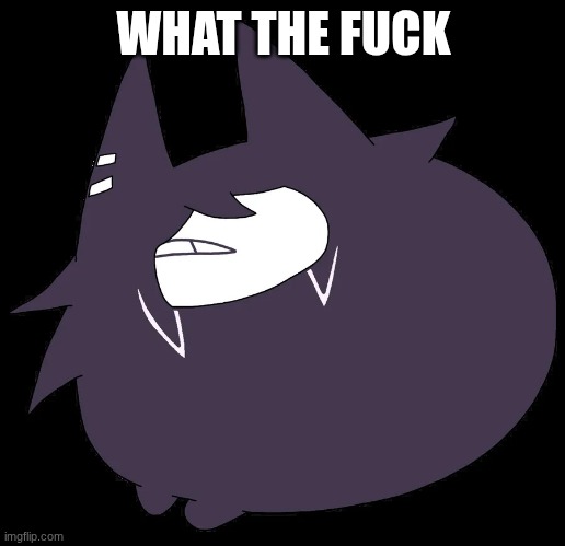 miss circle | WHAT THE FUCK | image tagged in miss circle | made w/ Imgflip meme maker