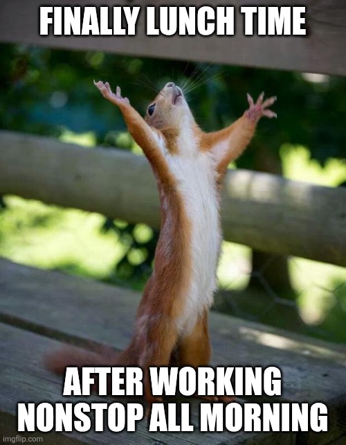 Best feeling | FINALLY LUNCH TIME; AFTER WORKING NONSTOP ALL MORNING | image tagged in happy squirrel,lunch,lunch time,yay,memes,relatable | made w/ Imgflip meme maker