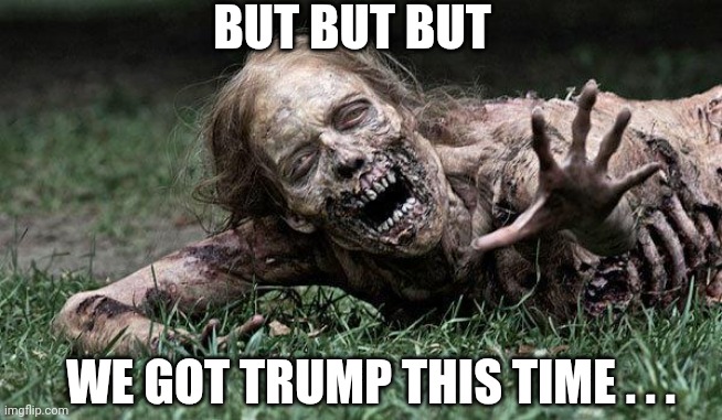 Walking Dead Zombie | BUT BUT BUT WE GOT TRUMP THIS TIME . . . | image tagged in walking dead zombie | made w/ Imgflip meme maker