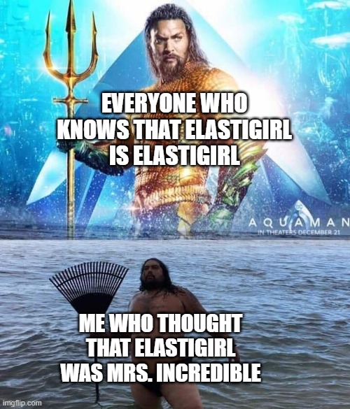 yeah... that is the height of stupidity | EVERYONE WHO KNOWS THAT ELASTIGIRL IS ELASTIGIRL; ME WHO THOUGHT THAT ELASTIGIRL WAS MRS. INCREDIBLE | image tagged in me vs reality - aquaman,the incredibles,funny,memes,fun | made w/ Imgflip meme maker