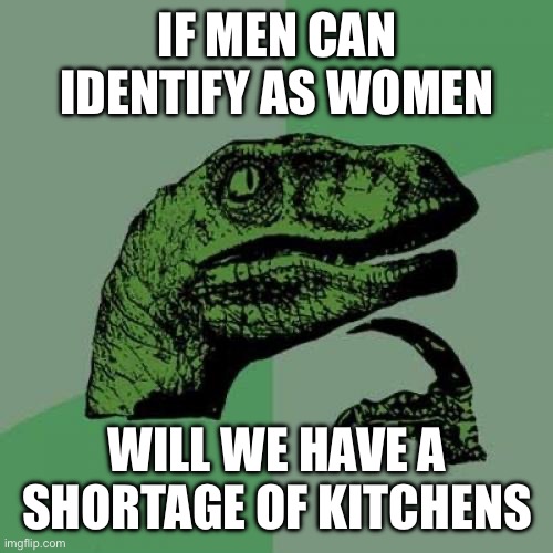 Philosoraptor | IF MEN CAN IDENTIFY AS WOMEN; WILL WE HAVE A SHORTAGE OF KITCHENS | image tagged in memes,philosoraptor | made w/ Imgflip meme maker