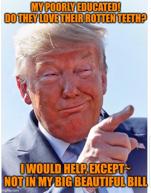 Trump pointing | MY POORLY EDUCATED!
DO THEY LOVE THEIR ROTTEN TEETH? I WOULD HELP, EXCEPT~
NOT IN MY BIG BEAUTIFUL BILL | image tagged in trump pointing | made w/ Imgflip meme maker