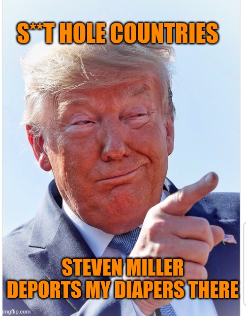 Trump pointing | S**T HOLE COUNTRIES STEVEN MILLER DEPORTS MY DIAPERS THERE | image tagged in trump pointing | made w/ Imgflip meme maker
