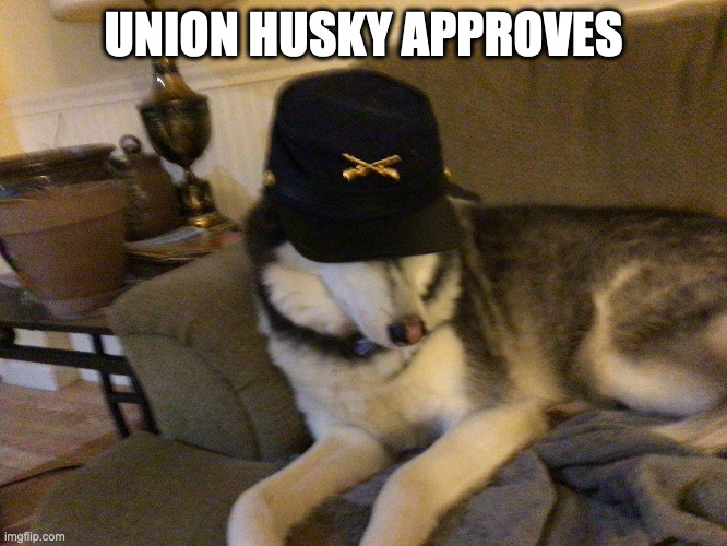 UNION HUSKY APPROVES | image tagged in union husky | made w/ Imgflip meme maker