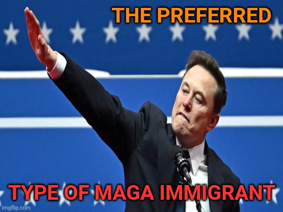 ~ immigration justification ~ | THE PREFERRED TYPE OF MAGA IMMIGRANT | image tagged in elon musk,trump immigration policy,maga,salute,fascist | made w/ Imgflip meme maker