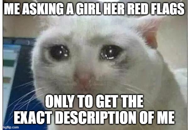 crying cat | ME ASKING A GIRL HER RED FLAGS; ONLY TO GET THE EXACT DESCRIPTION OF ME | image tagged in crying cat | made w/ Imgflip meme maker