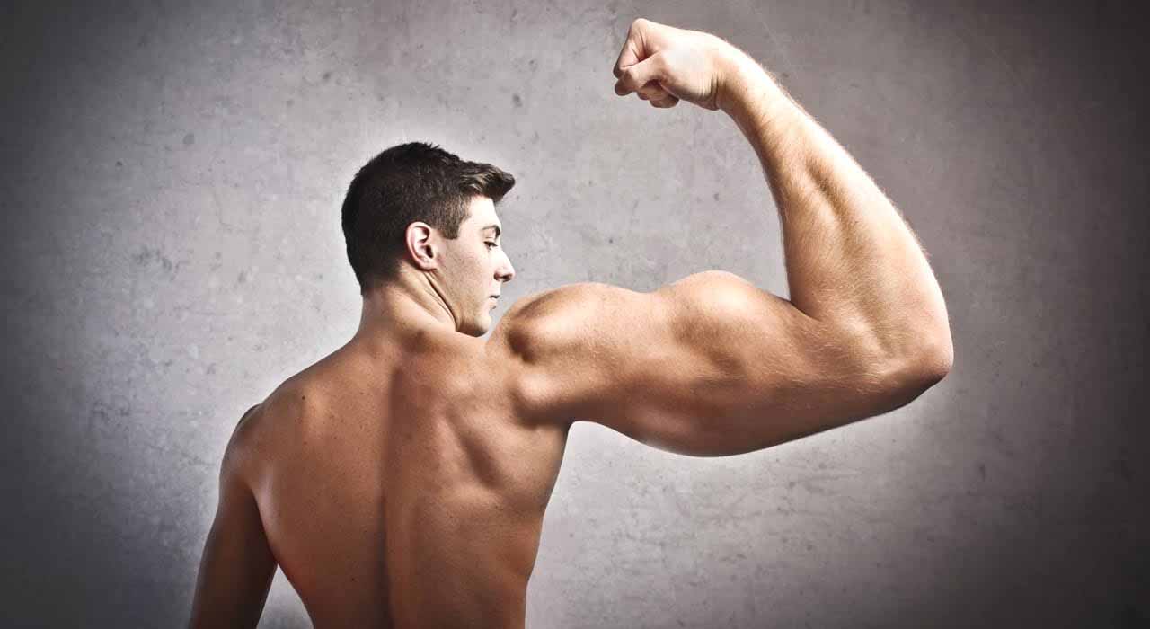 right arm large Blank Meme Template