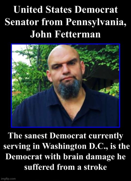 When the truth is stranger than fiction... | image tagged in john fetterman,democrats,insanity,politics,stroke | made w/ Imgflip meme maker