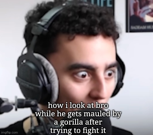 martincitopants shocked | how i look at bro
while he gets mauled by
a gorilla after
trying to fight it | image tagged in martincitopants shocked | made w/ Imgflip meme maker