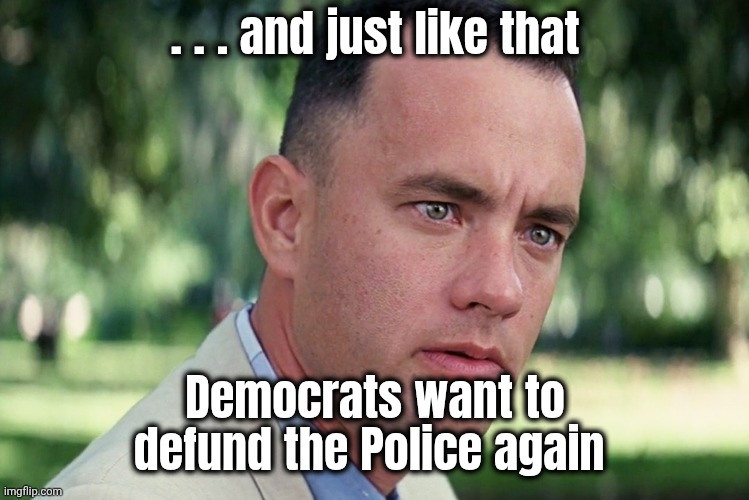 And Just Like That Meme | . . . and just like that Democrats want to defund the Police again | image tagged in memes,and just like that | made w/ Imgflip meme maker