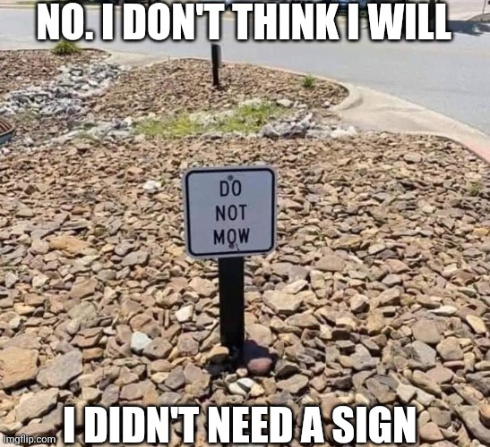 No I Don't Think I Will I Didn't Need A Sign | NO. I DON'T THINK I WILL; I DIDN'T NEED A SIGN | image tagged in chrisjoines1 | made w/ Imgflip meme maker