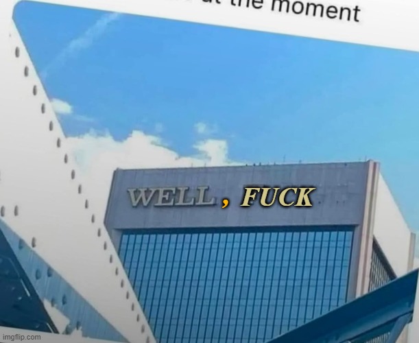 well f | , FUCK | image tagged in current mood | made w/ Imgflip meme maker