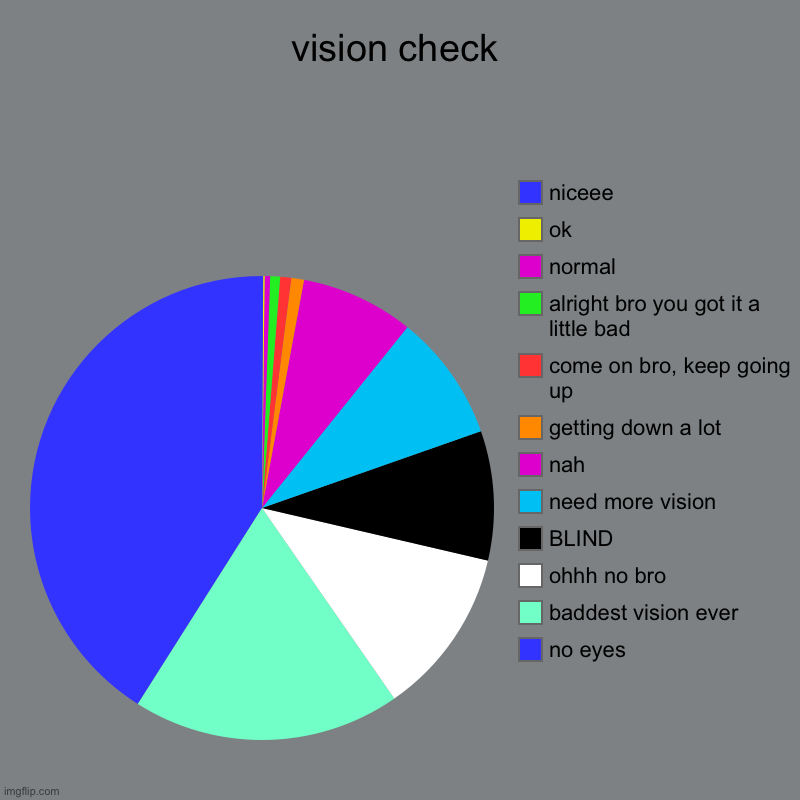 found this? congrats. you found a... VISION CHECK! | vision check | no eyes, baddest vision ever, ohhh no bro, BLIND, need more vision, nah, getting down a lot, come on bro, keep going up, alri | image tagged in charts,pie charts | made w/ Imgflip chart maker