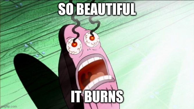 Spongebob My Eyes | SO BEAUTIFUL IT BURNS | image tagged in spongebob my eyes | made w/ Imgflip meme maker