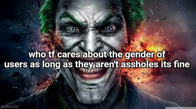 Jonkler | who tf cares about the gender of users as long as they aren't assholes its fine | image tagged in jonkler | made w/ Imgflip meme maker