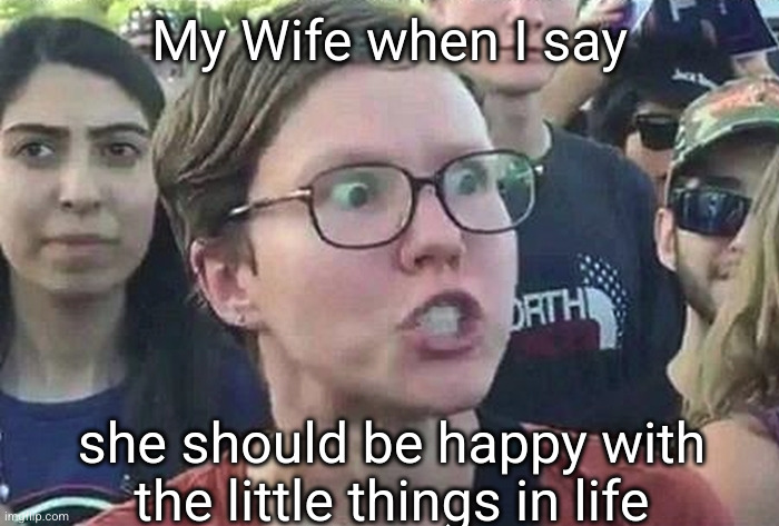It's supposed to be this size! | My Wife when I say; she should be happy with the little things in life | image tagged in penis size,wife,angry,oh wow are you actually reading these tags | made w/ Imgflip meme maker