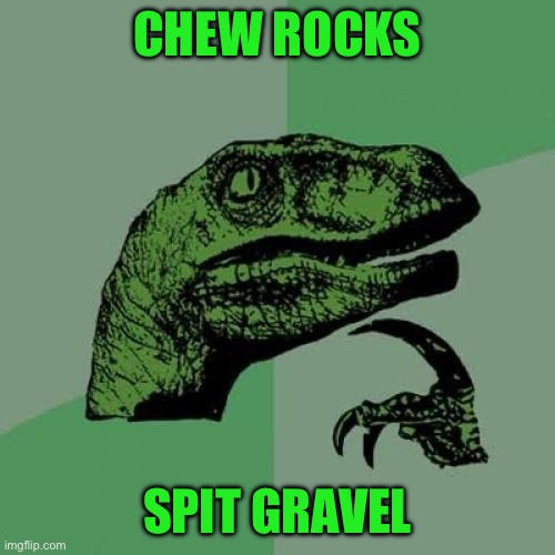 Philosoraptor | CHEW ROCKS; SPIT GRAVEL | image tagged in memes,philosoraptor | made w/ Imgflip meme maker